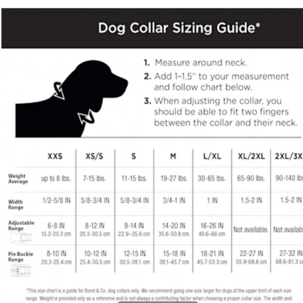 Blue dog collar